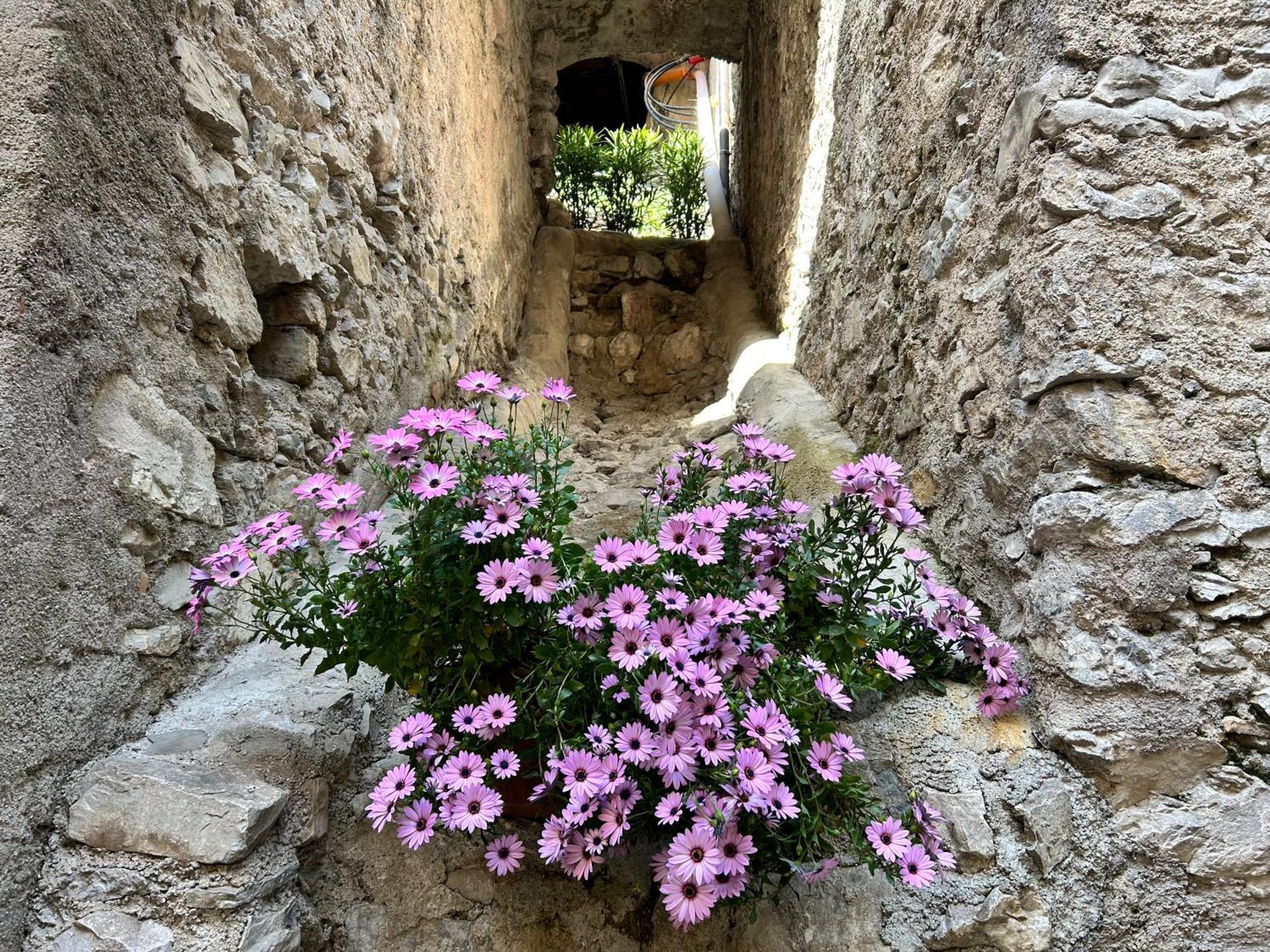 Studios Al Castello Dei Limoni Limone sul Garda Bagian luar foto